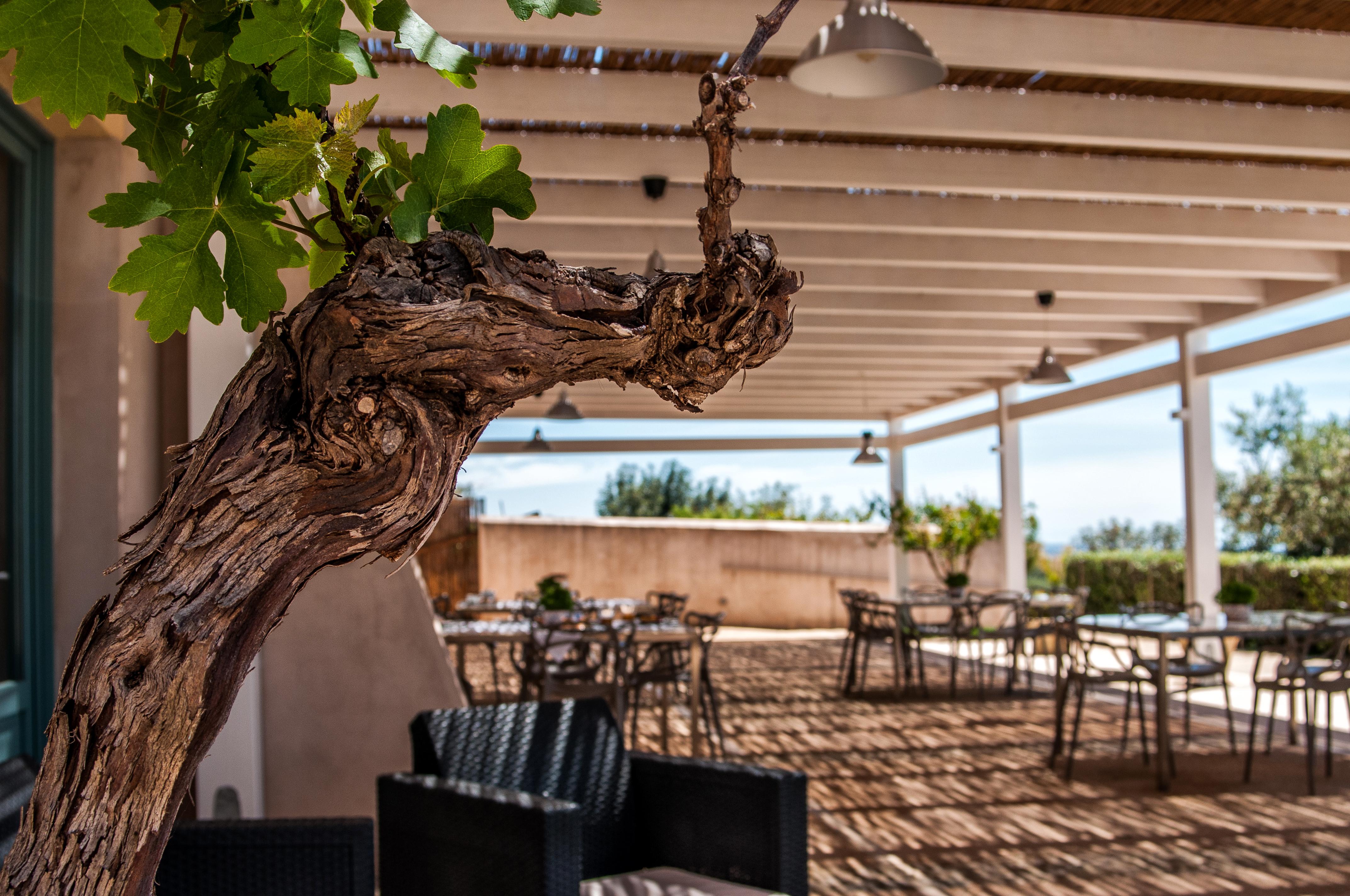 Relais Casina Miregia Hotell Menfi Eksteriør bilde